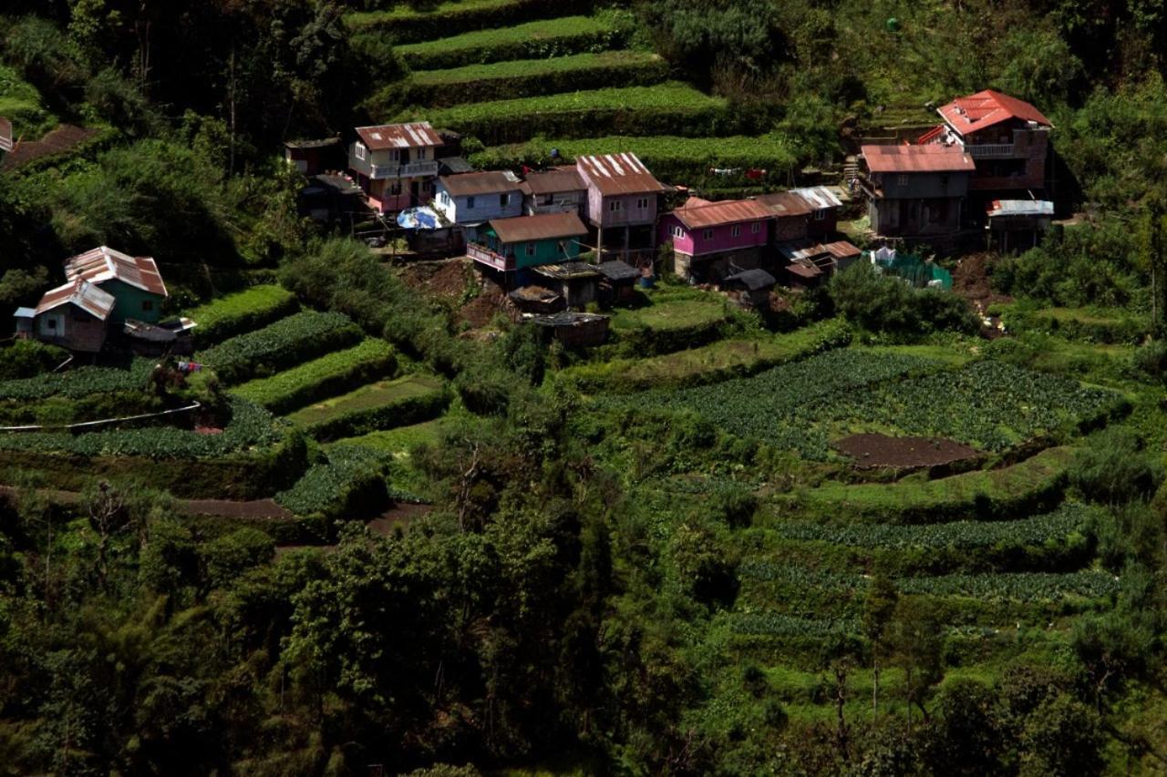 Yashita Homestay Dárdžiling Exteriér fotografie